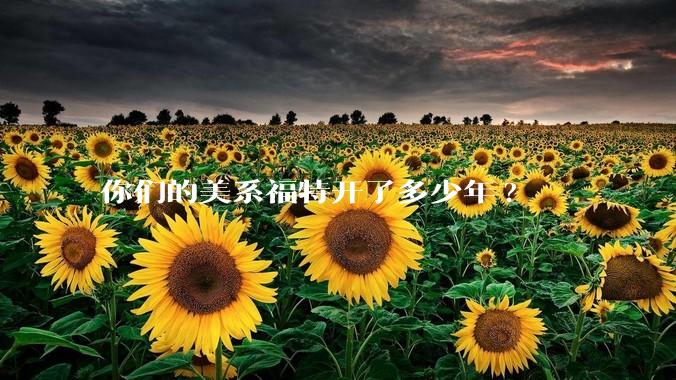 你们的美系福特开了多少年?